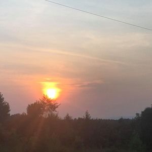 Meet your Posher, Tabitha